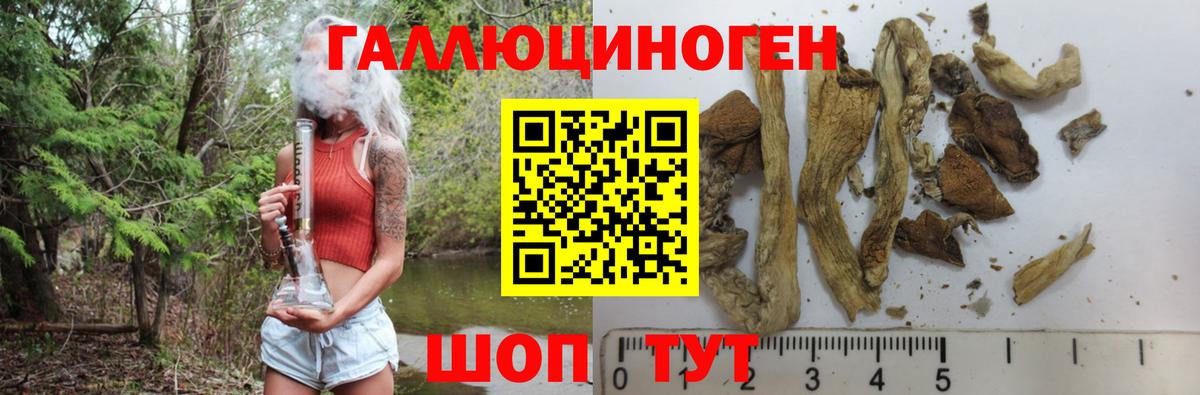 Псилоцибиновые грибы Magic Shrooms  Вход с VPN  Вязьма 