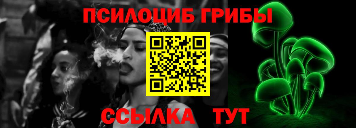 Галлюциногенные грибы Psilocybine cubensis Вязьма